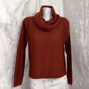 Revamped Chestnut Brown Cowl Turtleneck Sweater